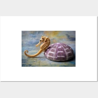 Seahorse And Purple Sea Urchin Posters and Art